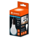 LED7022941_i2.jpg
