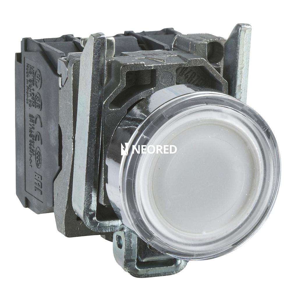 PULS LUM LED 230VCA 1NA+1NC BLANCO
