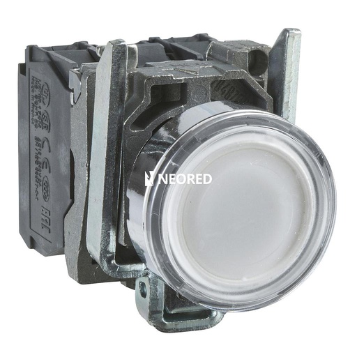 [SCHXB4BW31M5] PULS LUM LED 230VCA 1NA+1NC BLANCO